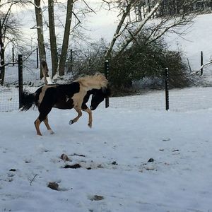 Meet your Posher, Wanda